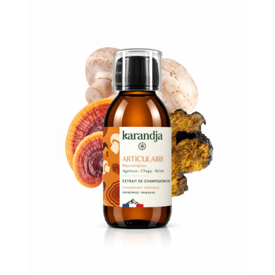 Extrait de Champignons Bio ARTICULAIRE 150ml