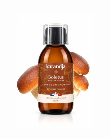 Extrait de Champignon Bio BOLETUS (Cèpes de Bordeaux français) 150ml