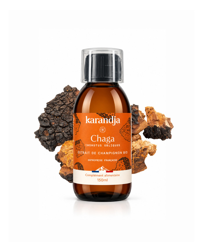 Extrait de Champignon Bio CHAGA 150ml