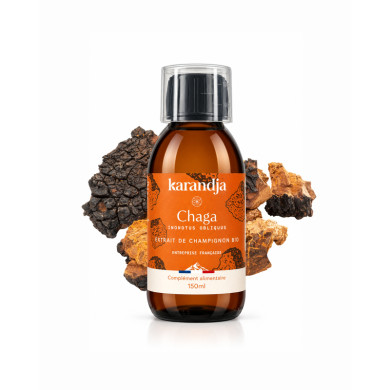 Extrait de Champignon Bio CHAGA 150ml