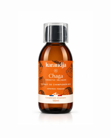 Extrait de champignon Bio CHAGA