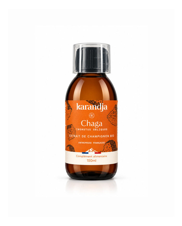 Extrait de champignon Bio CHAGA