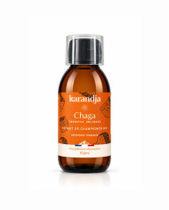 Extrait de champignon Bio CHAGA