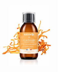 Extrait de Champignon Bio CORDYCEPS 150ml