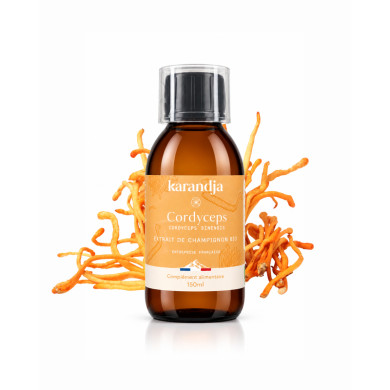Extrait de Champignon Bio CORDYCEPS 150ml