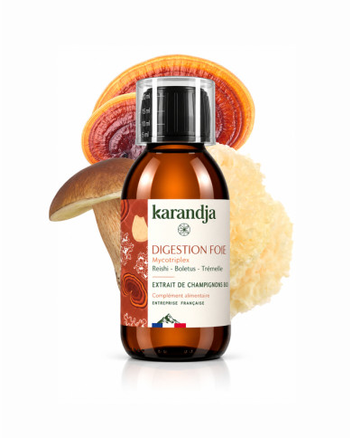 Extrait de Champignons Bio DIGESTION FOIE, Reishi - Boletus (Cèpe de Bordeaux) - Trémelle