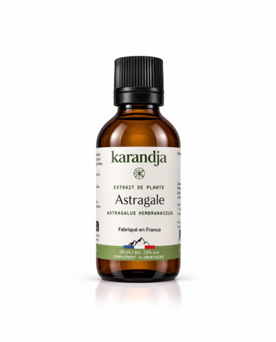 Extrait de plante Bio ASTRAGALE