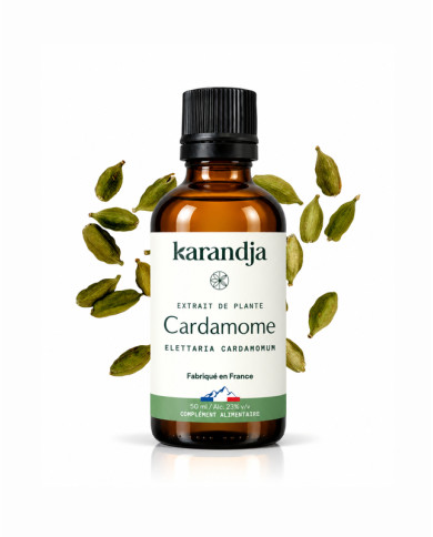 Extrait liquide de plante Bio  CARDAMOME Karandja 50ml