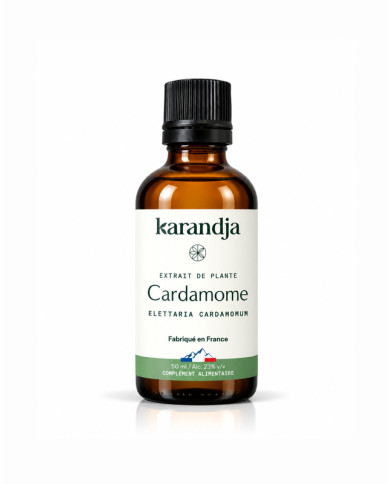 Extrait de Plante Bio CARDAMOME