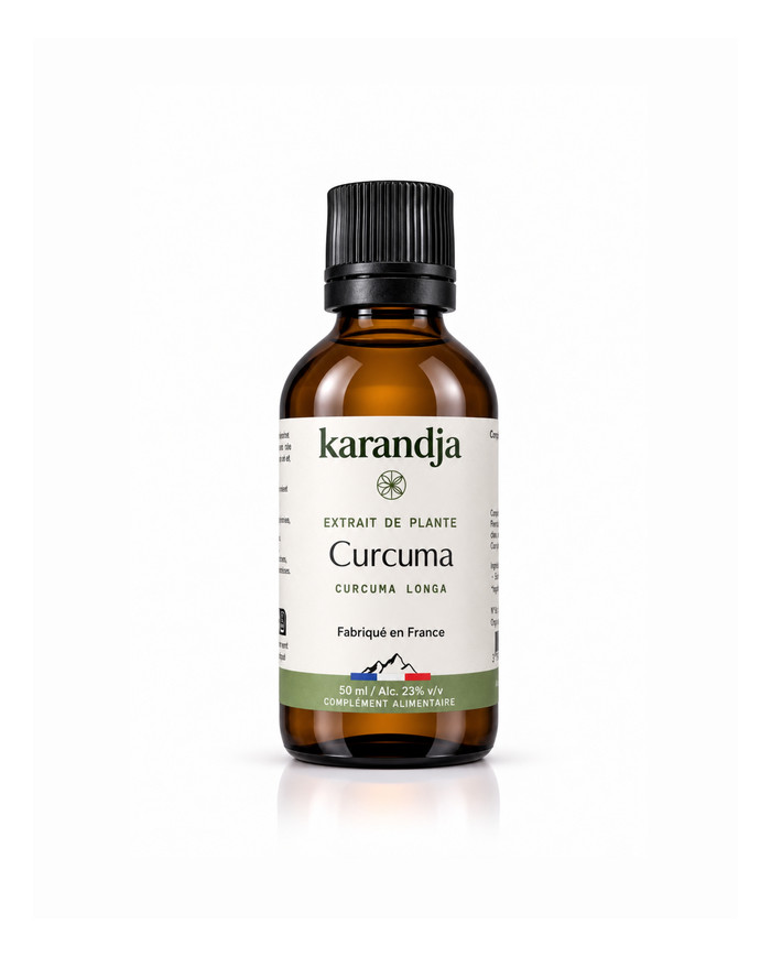 Extrait de Plante Bio CURCUMA
