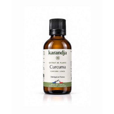 Extrait de Plante Bio CURCUMA