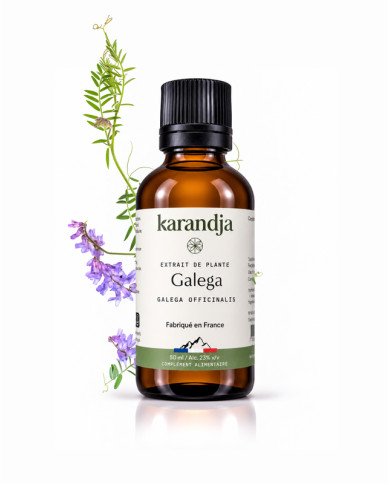 Extrait liquide de plante Bio GALEGA Karandja 50ml