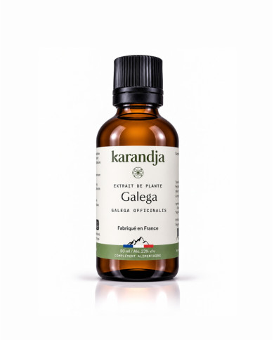 Extrait de plante Bio GALEGA