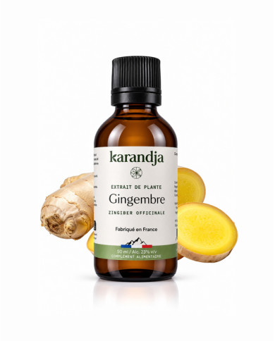 Extrait liquide de plante Bio GINGEMBRE Karandja 50ml