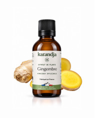 Extrait liquide de plante Bio GINGEMBRE Karandja 50ml