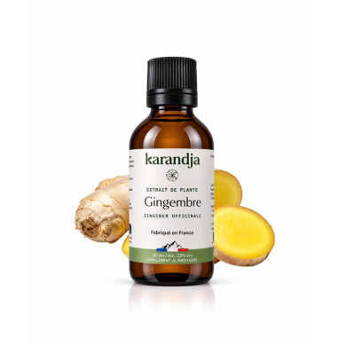 Extrait liquide de plante Bio GINGEMBRE Karandja 50ml
