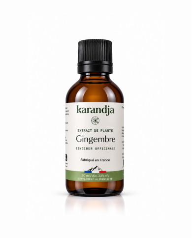 Extrait de Plante Bio GINGEMBRE