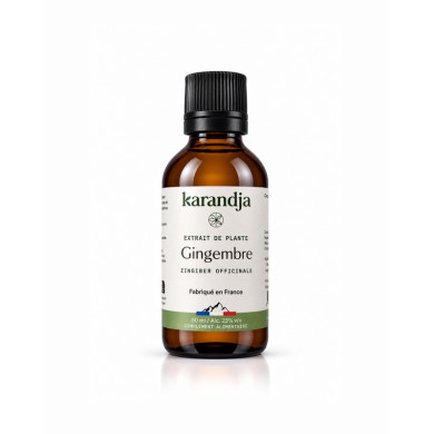 Extrait de Plante Bio GINGEMBRE