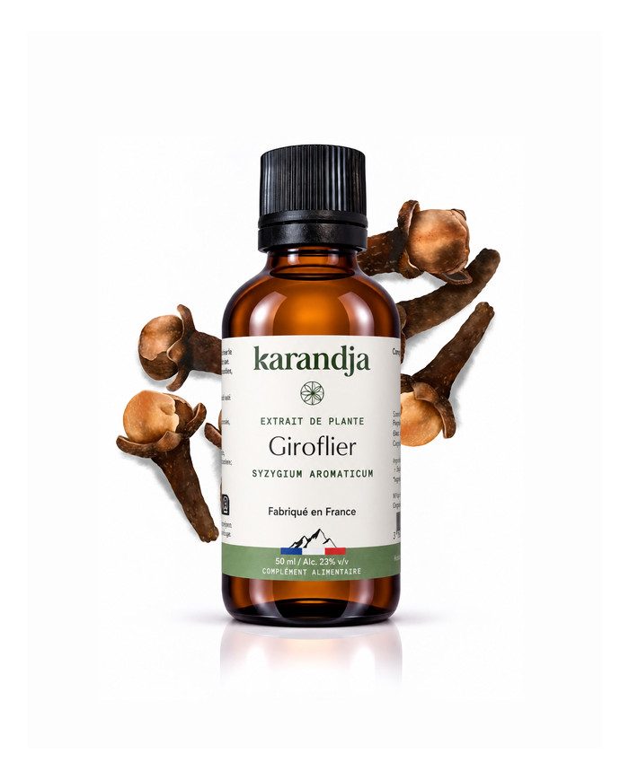 Extrait liquide de plante Bio GIROFLIER Karandja 50ml