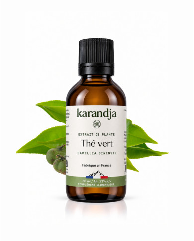 Extrait liquide de plante Bio THE VERT Karandja 50ml