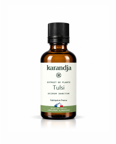 Extrait de plante Bio TULSI