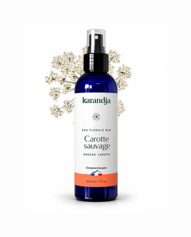Eau florale Bio CAROTTE SAUVAGE Karandja 200ml, origine France, buvable, sans conservateurs ni additifs.