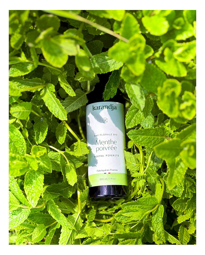 Eau florale bio MENTHE POIVREE