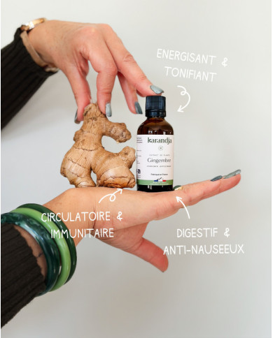 Extrait de Plante Bio GINGEMBRE