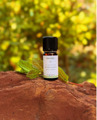 Huile essentielle bio MENTHE POIVREE