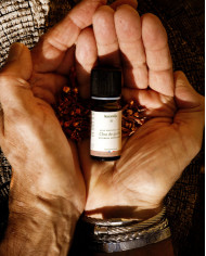 Huile essentielle bio CLOU DE GIROFLE