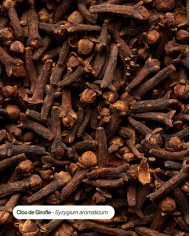 Huile essentielle bio CLOU DE GIROFLE