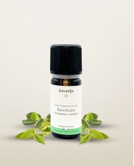Huile essentielle bio RAVINTSARA Karandja 10ml