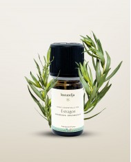 Huile essentielle bio ESTRAGON Karandja 5ml