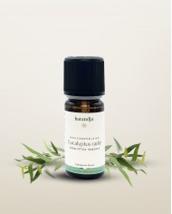 Huile essentielle bio EUCALYPTUS RADIE