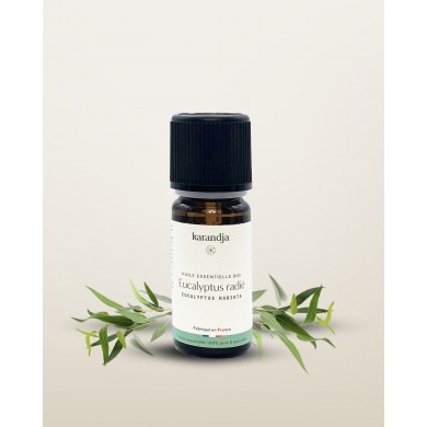 Huile essentielle bio EUCALYPTUS RADIE