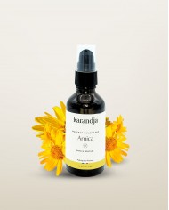 Macérât huileux bio PAQUERETTE