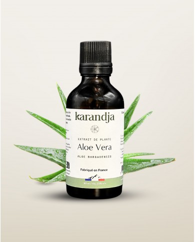 Extrait de Plante Bio ALOE VERA