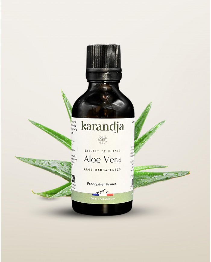 Extrait de Plante Bio ALOE VERA