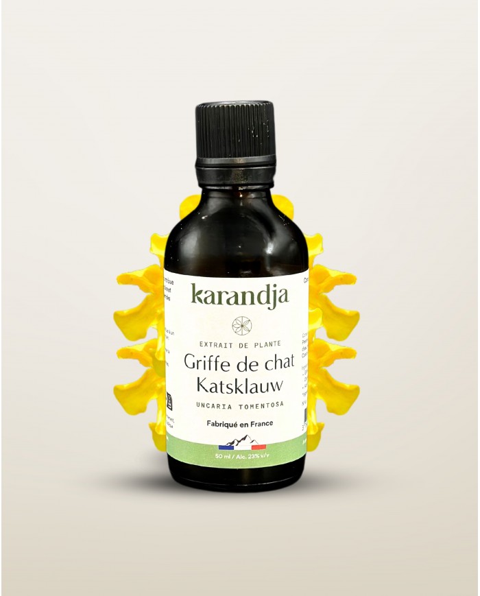 Extrait de Plante Bio GRIFFE DE CHAT