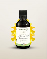 Extrait de Plante Bio GINSENG