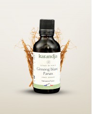 Extrait de Plante Bio GINSENG