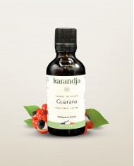 Extrait de Plante Bio HARPAGOPHYTUM