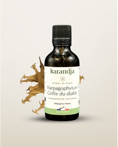 Extrait de Plante Bio HARPAGOPHYTUM
