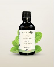 Extrait de Plante Bio ASHWAGANDHA