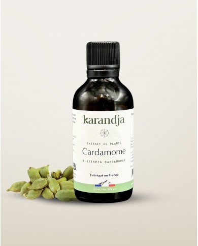 Extrait de Plante Bio CARDAMOME