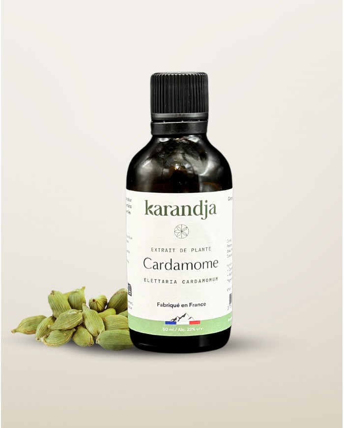 Extrait de Plante Bio CARDAMOME