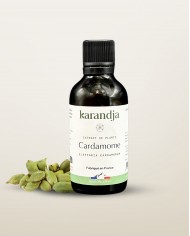 Extrait de Plante Bio CURCUMA