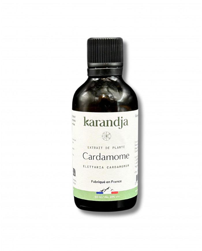 Extrait de Plante Bio CARDAMOME