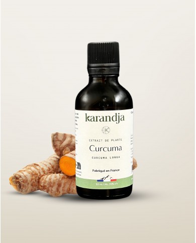 Extrait de Plante Bio CURCUMA