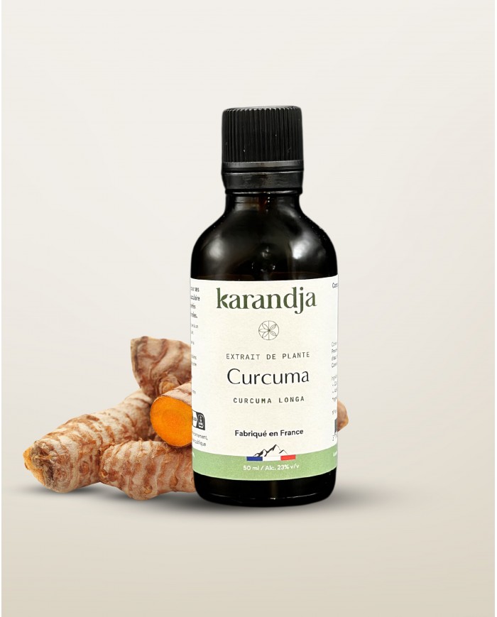 Extrait de Plante Bio CURCUMA